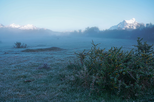 Field in the fog. Frozen grass on the field at cold winter morning. Grass covered with white frost. Torres del Paine National Park，Chile.