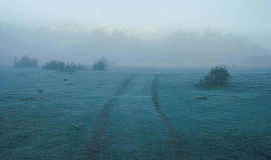 Field in the fog. Frozen grass on the field at cold winter morning. Grass covered with white frost. Torres del Paine National Park，Chile.