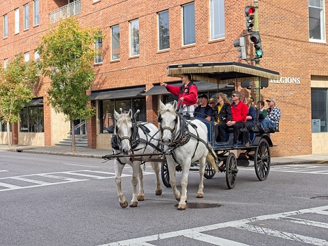 Charleston, South Carolina - USA, November 30, 2023. Horse drawn carriage with tourists travel down Meeting street learning about Charleston's history. Architecture and street scenes along Meeting Street in downtown historic Charleston South Carolina.
