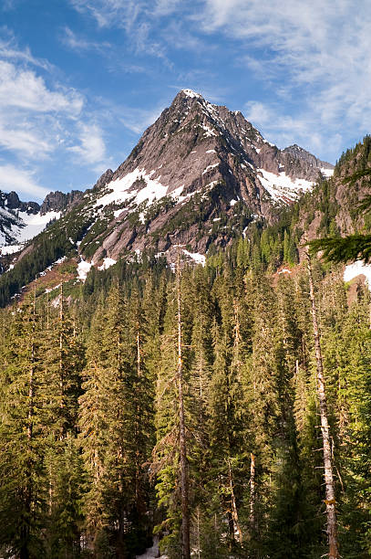 istock Fire Road Overlooks Sperry Peak North Cascade Mountain Range 185545374
