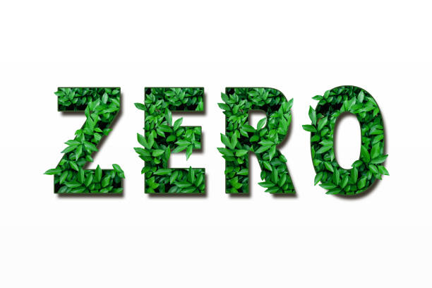 istock Lettering ZERO, WASTE, LIFE, green grass leaf texture isolated on white background. Word ZERO, WASTE, LIFE. Concep eco-friendly. 1855477308
