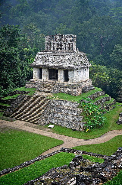 istock Ruins at Palenque, Mexico 185547872