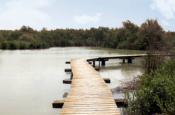 istock wooden bridges 185548338