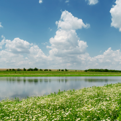 blue sky with clouds over river and meadow with chamomiles