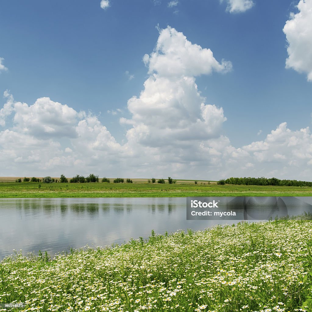 Nuvens sobre o rio e meadow com chamomiles - Foto de stock de Azul royalty-free