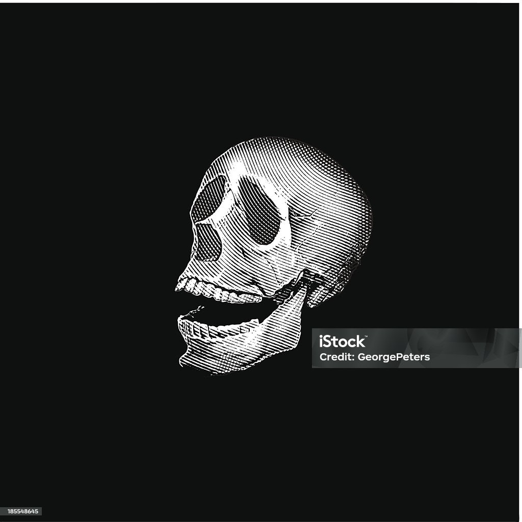 Lachen Schädel Gravur, auf schwarzem Hintergrund - Lizenzfrei Augenhöhle Vektorgrafik