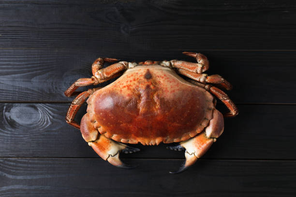 istock Delicious boiled crab on black wooden table, top view 1855492952