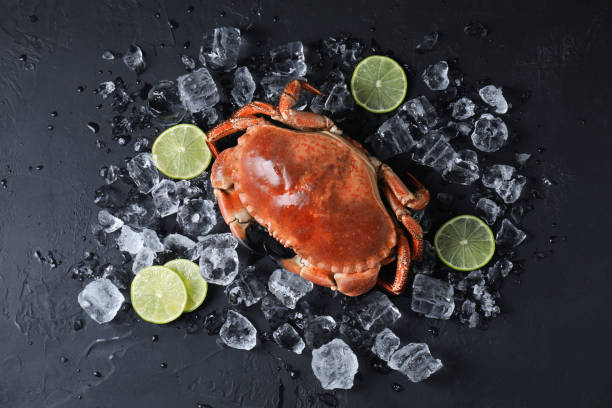 istock Delicious boiled crab, lime and ice on black textured table, flat lay 1855494460