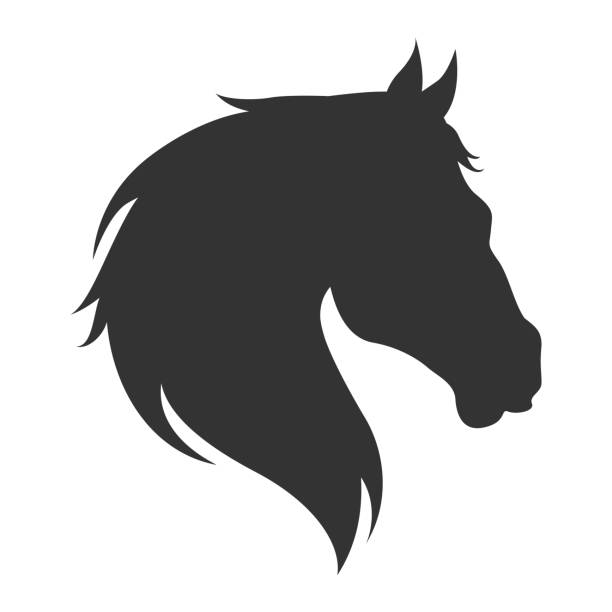 Vector silhouette of horse head Silhouette of horse head. Black on white. Vector illustration horse head vector stock illustrations