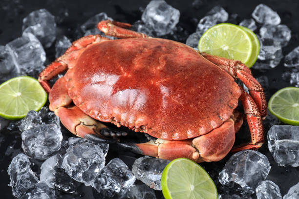 istock Delicious boiled crab, lime and ice on black table, closeup 1855501755