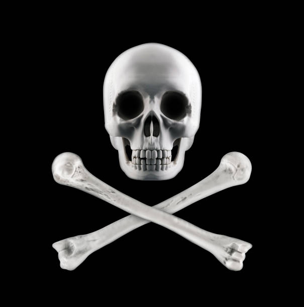 istock Human skull with crossed bones isolated on black background, pirate flag 1855515682