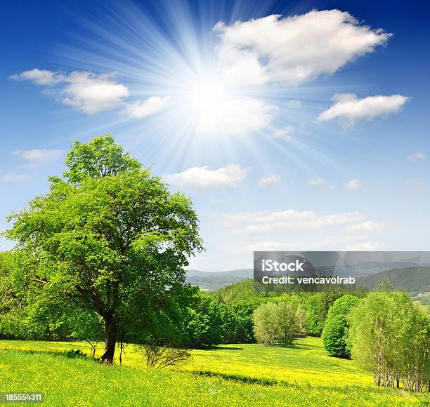 Spring Landscape Stock Photo - Download Image Now - Beauty In Nature, Bohemia - Czech Republic, Cloud - Sky