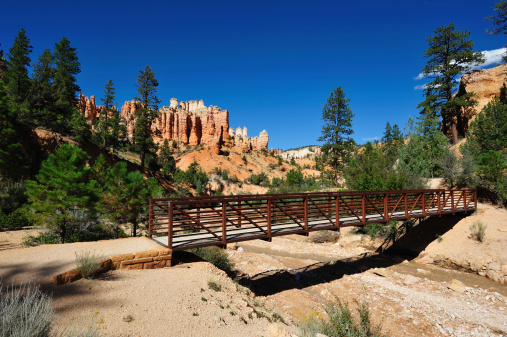 Bridge on Mossy cave trail in Bryce Canyon, Utah, USA