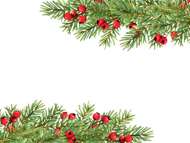 ilustrações, clipart, desenhos animados e ícones de moldura de galhos de árvores de natal decorados com bagas vermelhas. ilustração de aquarela de natal para decoração. modelo de cartões de saudação de ano novo de moldura de círculo de design de natureza - spruce branch