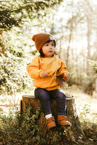 An image of a Native American two~year~old girl sitting on a tree stump outside.