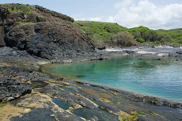 istock Senegal,isle de la Madeleine 185557707
