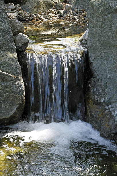istock Japanese Garden in Bad Langensalza 185558099