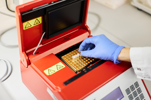 A researcher putting PCR tubes on the thermal cycler for DNA amplification. Coronavirus PCR test.