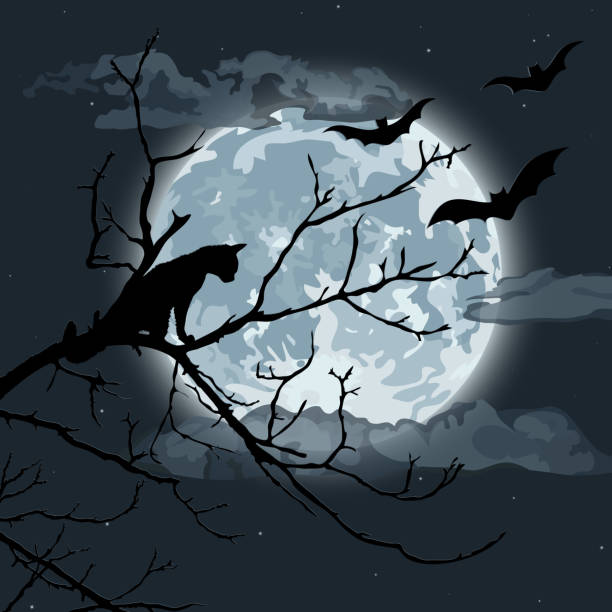 Halloween night Black cat in a tree surrounded by bats. EPS10 vector illustration, global colors, easy to modify. moon silhouettes stock illustrations