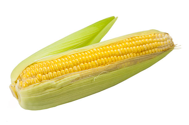 옥수수 - corn on the cob corn cooked boiled 뉴스 사진 이미지