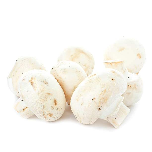 istock White fresh raw champignon mushroom  on background 185560594