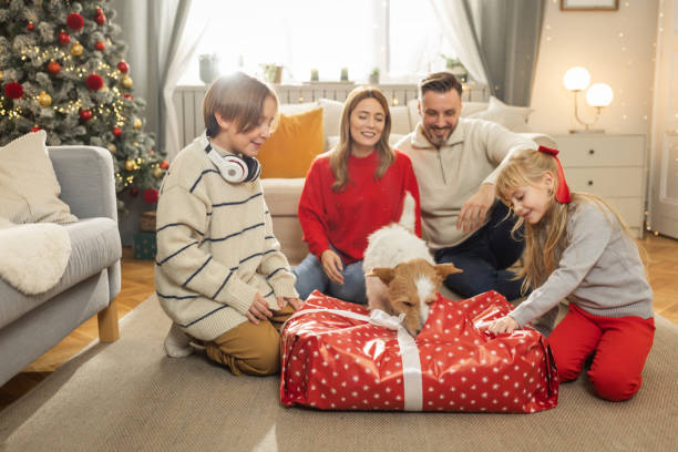 рождество – это время, когда все должны быть счастливы - child house dog bed стоковые фото и изображения