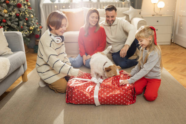 рождество – это время, когда все должны быть счастливы - child house dog bed стоковые фото и изображения