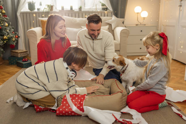크리스마스는 모두가 행복할 때입니다 - child house dog bed 뉴스 사진 이미지