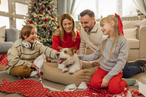 święta bożego narodzenia to czas, w którym wszyscy mogą być szczęśliwi - child house dog bed zdjęcia i obrazy z banku zdjęć