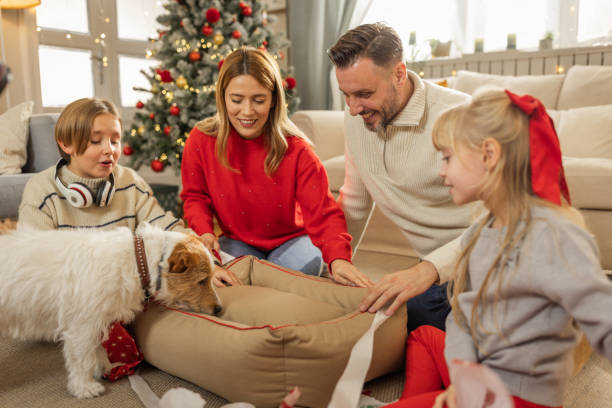 рождество – это время, когда все должны быть счастливы - child house dog bed стоковые фото и изображения