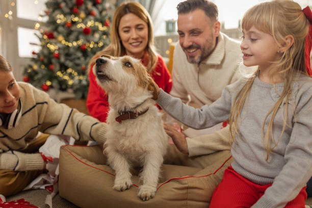 рождество – это время, когда все должны быть счастливы - child house dog bed стоковые фото и изображения