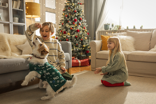 Happy children playing with dog in Christmas decorated room.