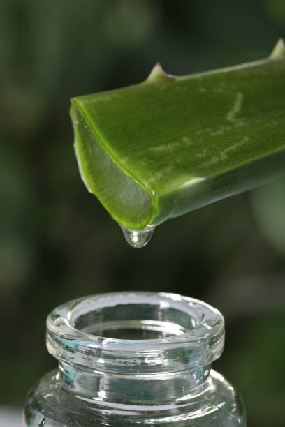 istock Aloe vera gel dripping from leaf into bottle against blurred background, macro view 1855640682