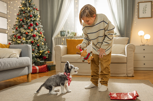 Happy  young boy playing with his dog near Christmas tree. He is giving dog his present