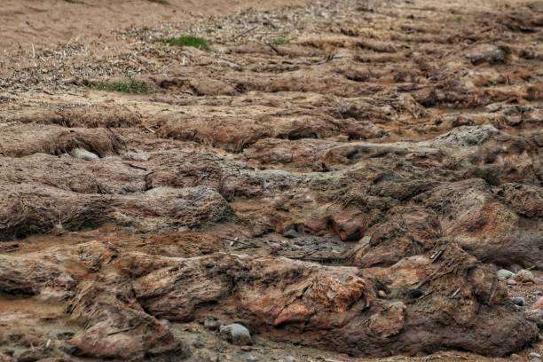 istock Dried clay on the seashore 1855650628
