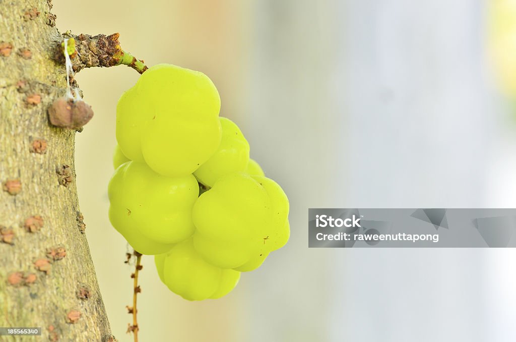 Der star gooseberry auf Baum - Lizenzfrei Ananas Stock-Foto