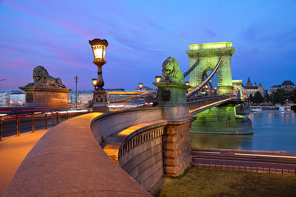 szechenyi 鎖橋、ブダペストます。 - chain bridge budapest bridge lion ストックフォトと画像