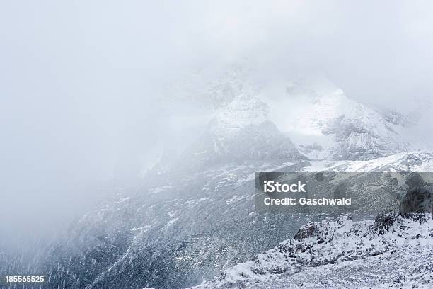 Photo libre de droit de Hiver Dans Les Alpes banque d'images et plus d'images libres de droit de Allemagne - Allemagne, Alpes européennes, Autriche