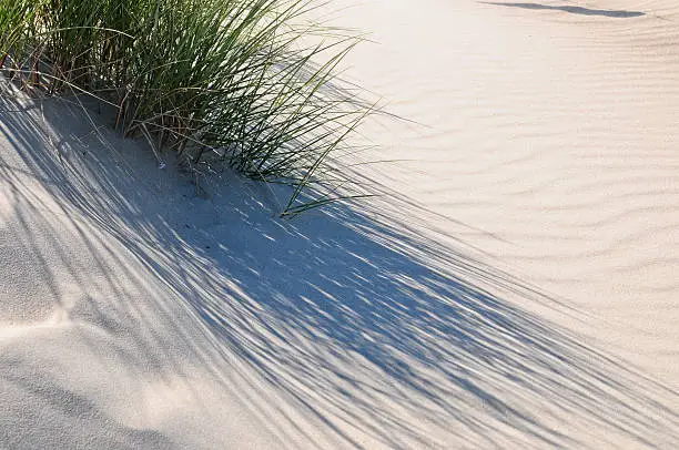 Sand dune on the coast of Germany