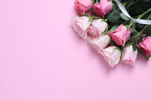 istock Beautiful roses on light pink background, top view. Space for text 1855657528
