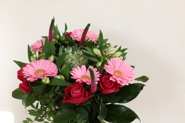 istock Bouquet of beautiful flowers on light background, closeup. Space for text 1855657538
