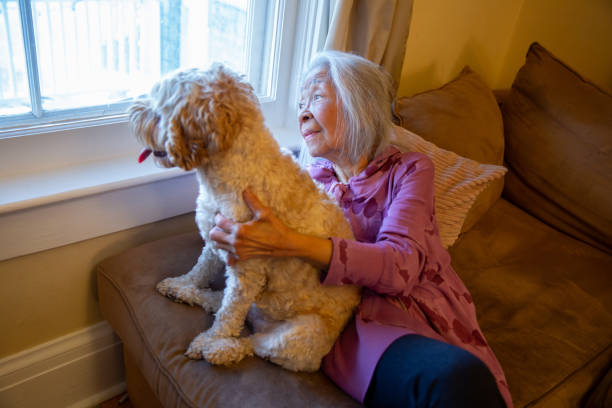 istock Elderly Senior Woman and Her Dog 1855672234