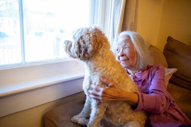 Elderly Senior Woman and Her Dog stock photo