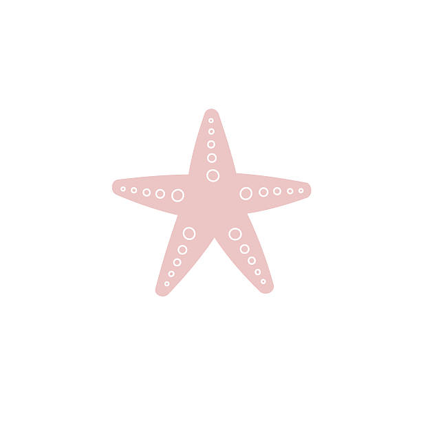 starfish vector art illustration