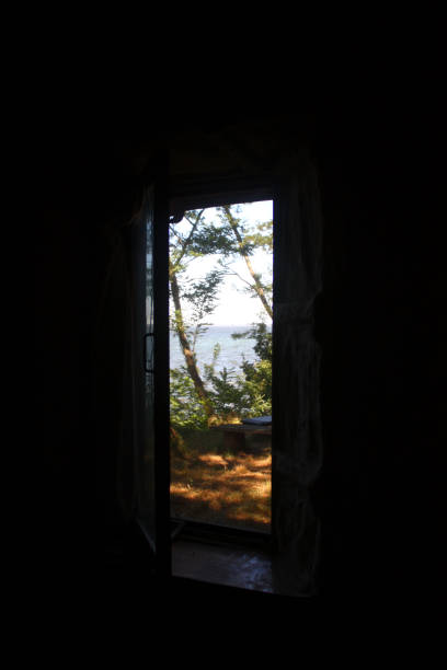 istock landscape, view from the window on trees and lake 1855694092