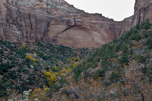 An arch in the cliff side in Zion National Park in Utah.