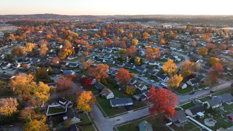 Aerial view of a suburban area with autumn-colored trees at sunset. American city suburb.