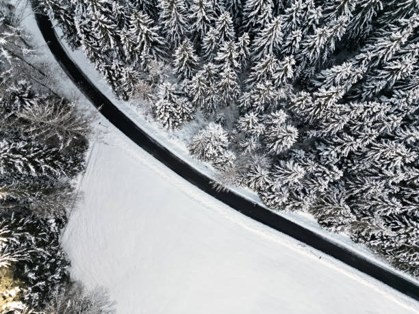 istock Winter road through snow covered forest in Baiersbronn, Black Forest 1855719386