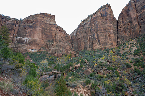 Views along the Emerald Pools Trail in Zion National Park in Utah.