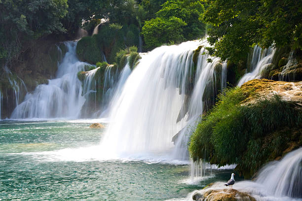 istock Waterfalls on Krka River. National Park, Dalmatia, Croatia 185572536
